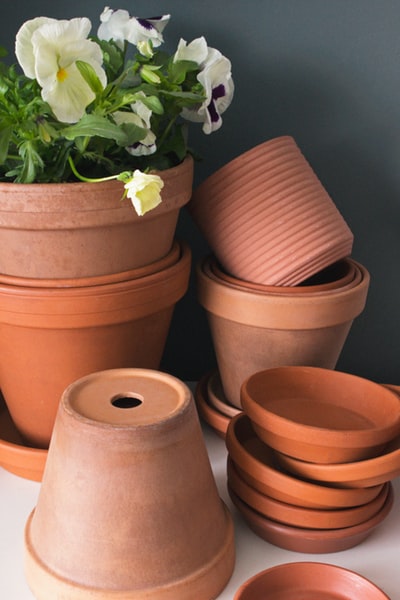 棕色和绿色植物的陶罐
